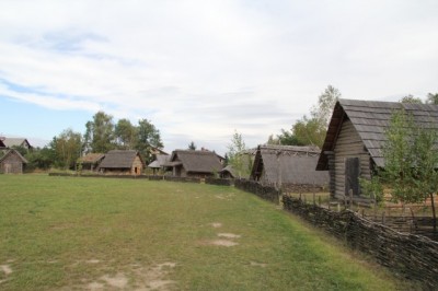 IMG_5048.jpg