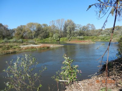 DSCN1288.JPG
