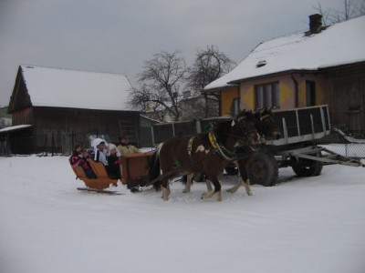 IMG_8910 kulig 3.jpg