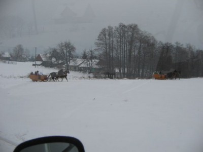 IMG_8908 kulig 2.jpg