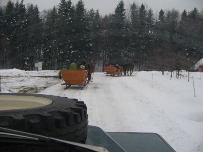 IMG_8907 kulig.jpg