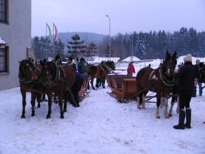 zaprzęg.JPG