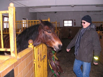 pańskie oko.JPG