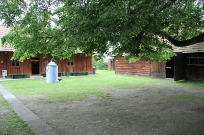 IMG_7333.jpg
