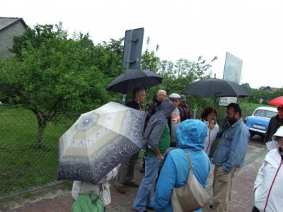 IMG_7328.jpg