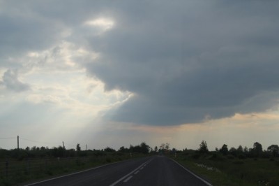 IMG_7688.jpg