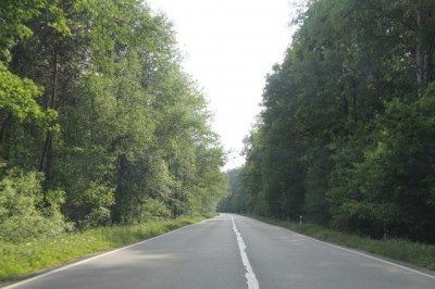IMG_7685.jpg
