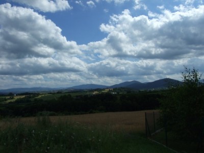 IMG20.jpg