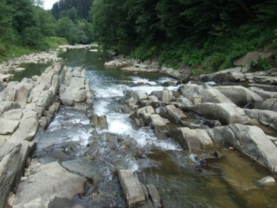 DSCF1493.jpg