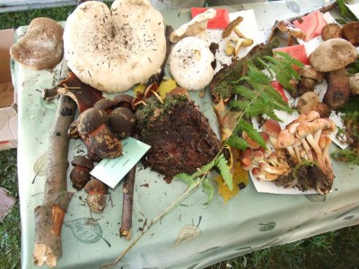 DSCF5855.JPG