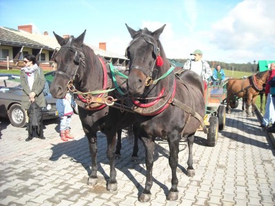 DSCF5741.JPG