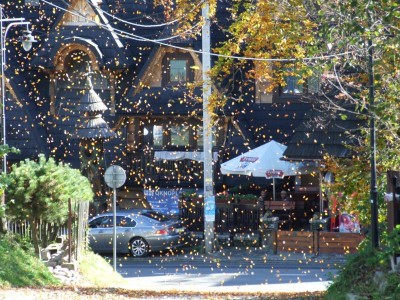 DSCF5963.JPG