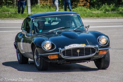 JAGUAR1.jpg